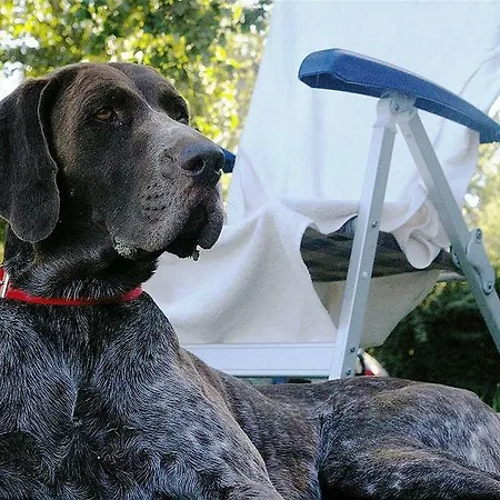 Coco Tent * Tuoro sul Trasimeno