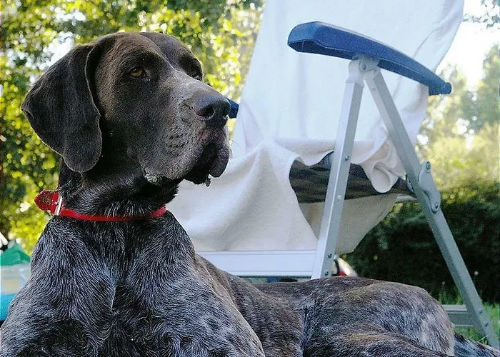 Coco Tent * Tuoro sul Trasimeno